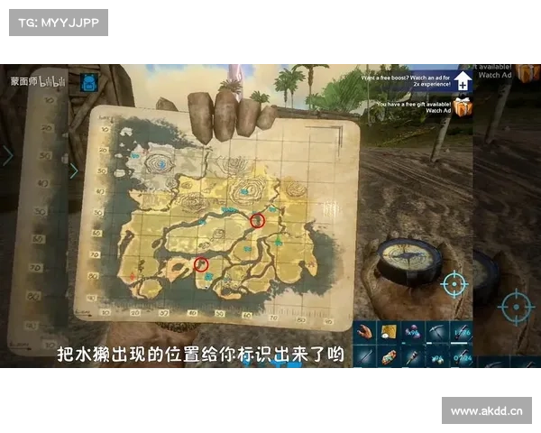 方舟河狸窝:建筑大师的奇才巢穴 方舟河狸窝:建筑大师的奇才巢穴