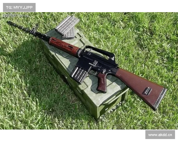 猎人枪魔兽怀旧：枪法绝伦，战火再燃