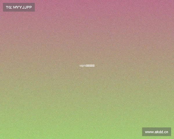 vspn电竞太仓招聘